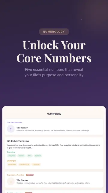 Numerology profile showing Life Path, Expression, Soul Urge, and Personality numbers